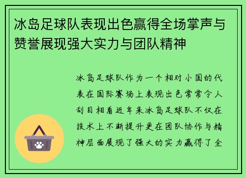 冰岛足球队表现出色赢得全场掌声与赞誉展现强大实力与团队精神