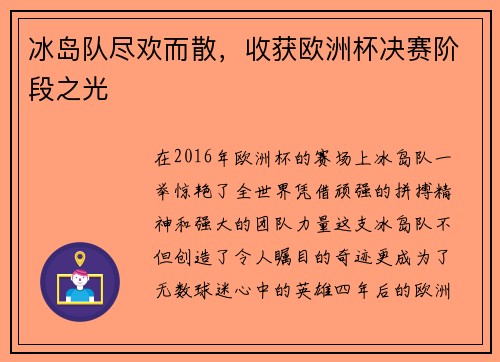 冰岛队尽欢而散，收获欧洲杯决赛阶段之光