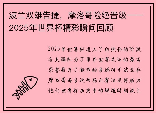 波兰双雄告捷，摩洛哥险绝晋级——2025年世界杯精彩瞬间回顾