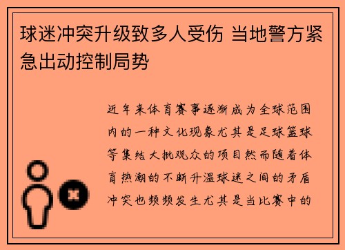 球迷冲突升级致多人受伤 当地警方紧急出动控制局势