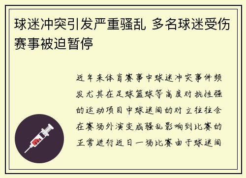 球迷冲突引发严重骚乱 多名球迷受伤赛事被迫暂停